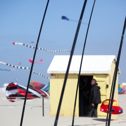 cerf volant berck 2013