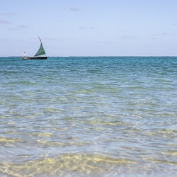 Reunion Maurice octobre 2025